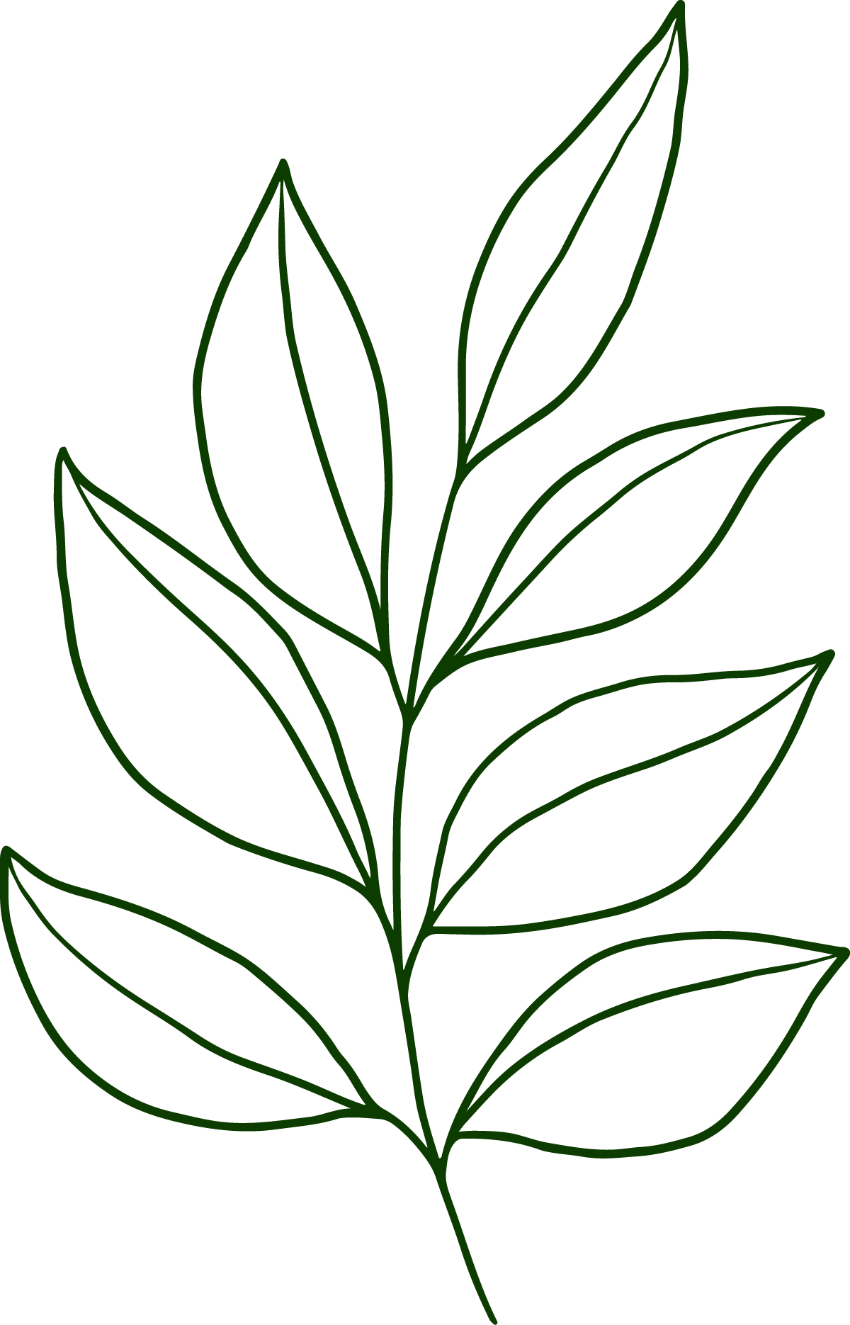 foglie-1